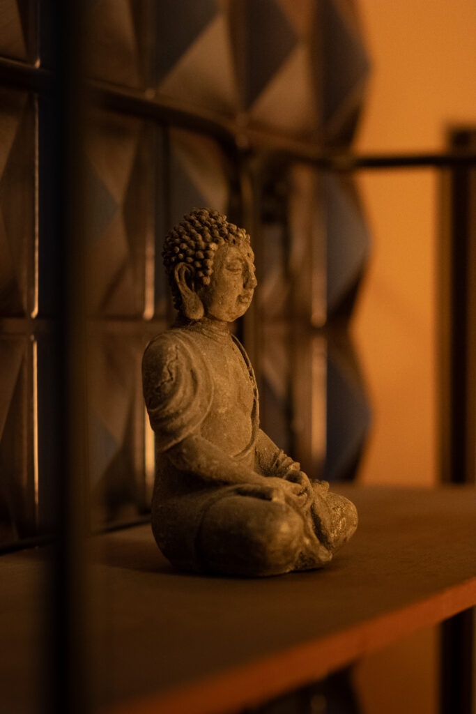 Contact IMG 4256 683x1024